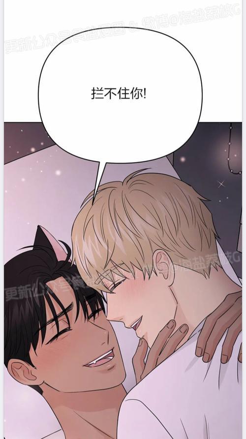 画涯怎么用不了了