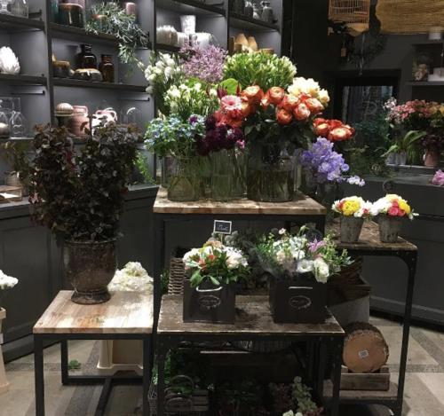 花店有梅花吗