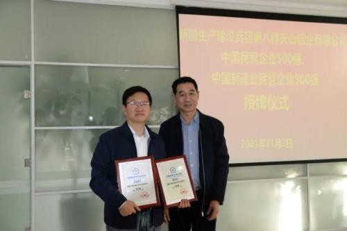 石河子大型企业排名