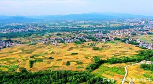 桂平属于广西的哪个地级市