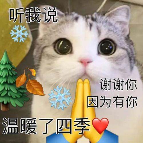 男朋友说谢谢你对我这么好