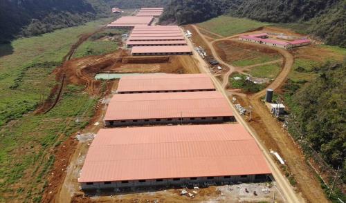 牧原建了多少养猪场