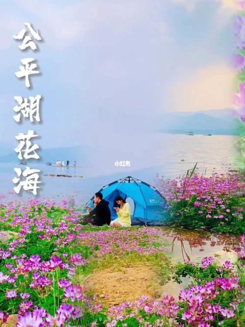 出山店水库花海什么时候开放