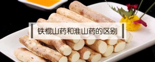 山药的品种有多少