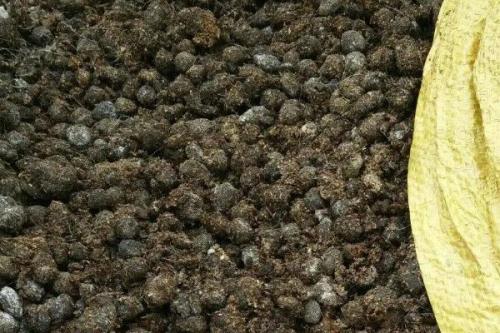 粪在水里面多长时间分解