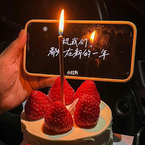 唯愿年年岁岁常康健什么意思