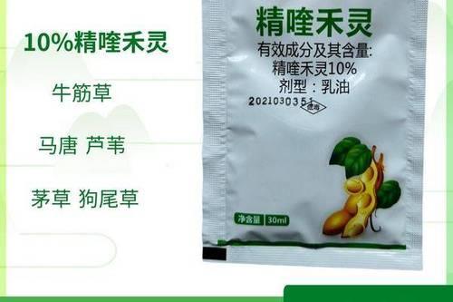 10%精喹禾灵每亩用量