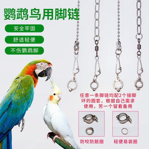成年玄凤脚环用几号