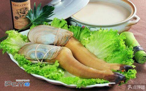 象拔蚌全身都可以吃吗