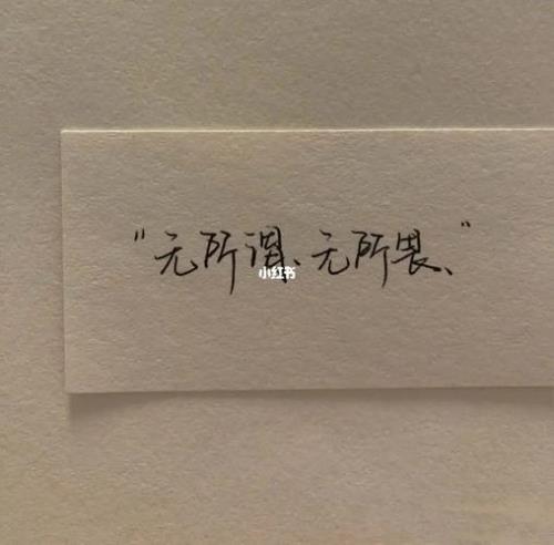无畏山海的意思