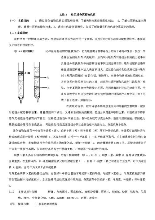 柱色谱实验现象