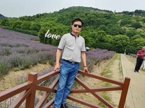 走出浪浪山是什么意思