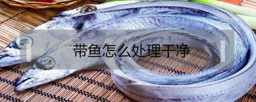 如何将带鱼处理干净
