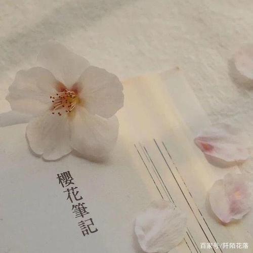 初三简短走心的句子