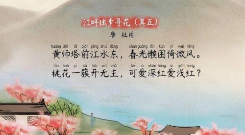 江畔独步寻花其五的感情