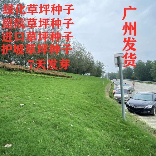 三十方高羊毛草平可以网购吗