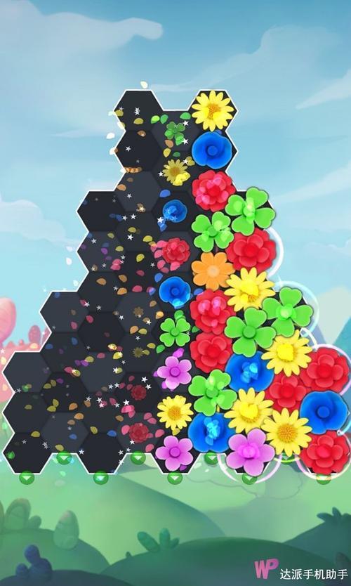 永恒之花怎么进化