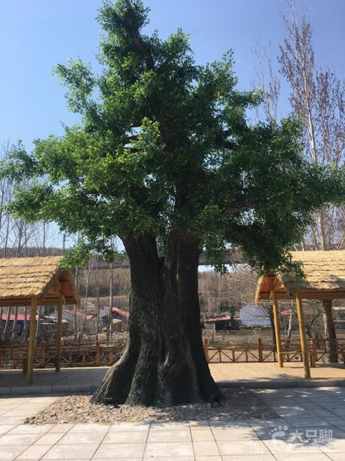 榆树有哪些风景区