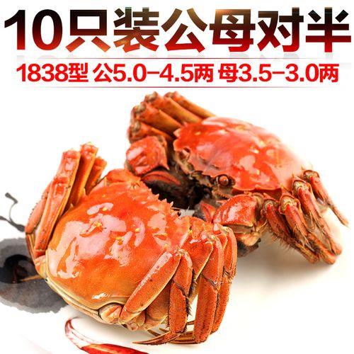 大闸蟹35两有多大对比照