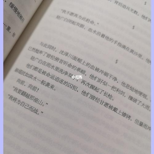 将进酒沈卫兵败真相