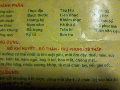 越南说的什么语