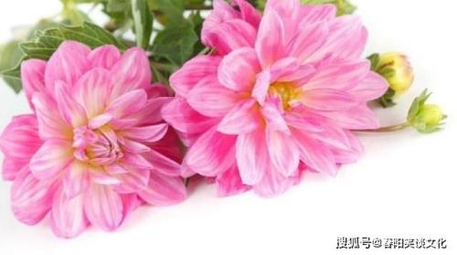 求：保重身体的藏头诗