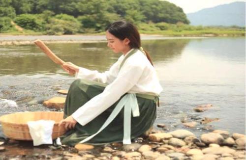 古代洗衣服的树叶