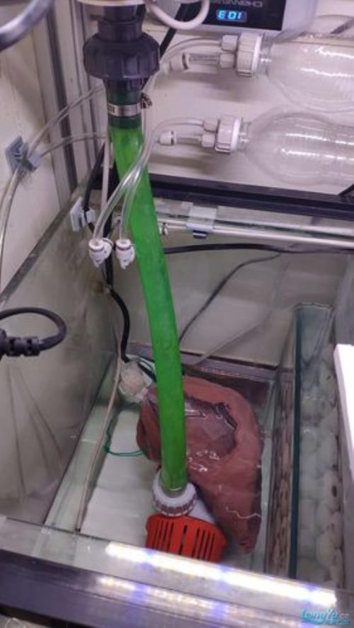 鱼缸底滤泵怎么不抽缸内沉淀物
