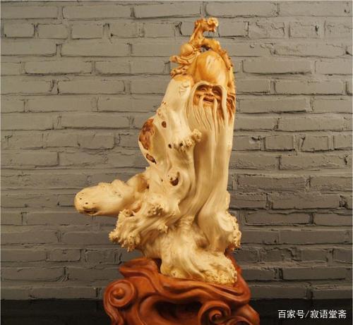 寿元是什么意思