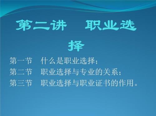 职业追求的含义