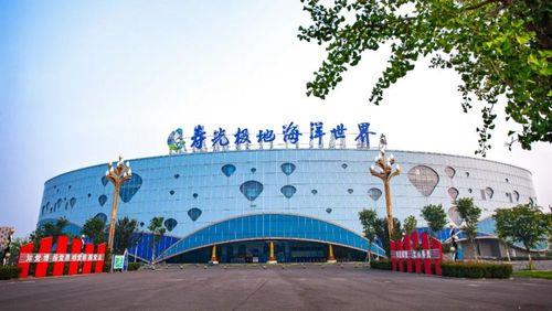 寿光极地海洋世界下午表演时间