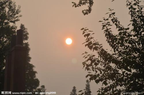 早晨的太阳叫什么
