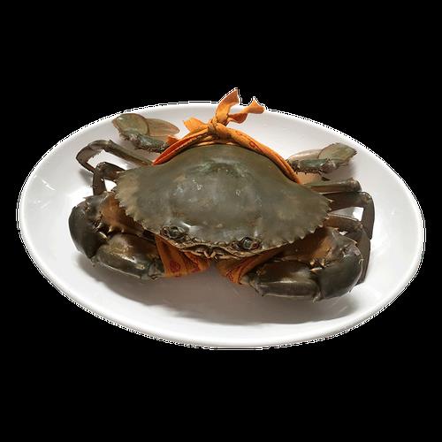 生红膏鲟能放冷冻吗