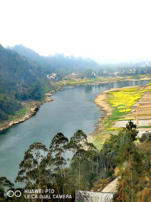 平羌是什么意思