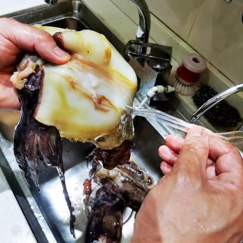 鲜鱿和干鱿的区别