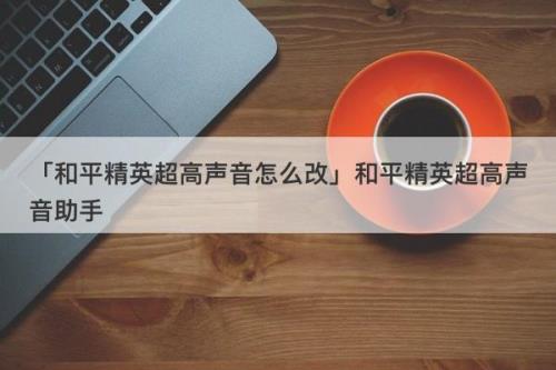 和平精英ai语音助手开了但没声音
