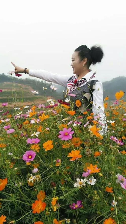 格桑花谁唱的