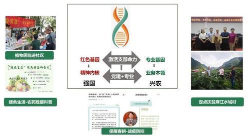 党建双提升指的是什么