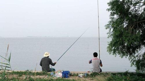 下午钓鱼的最佳时间