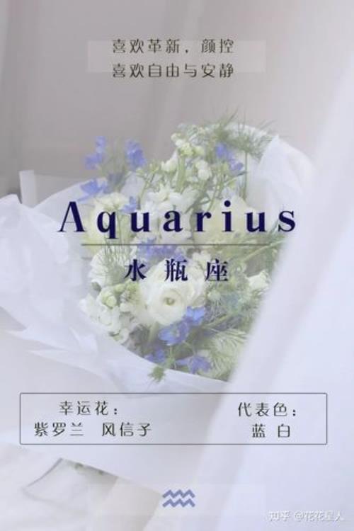 水瓶座幸运色是什么