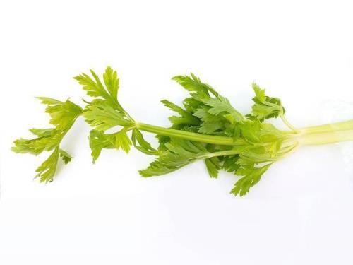 吃芹菜叶的好处和坏处