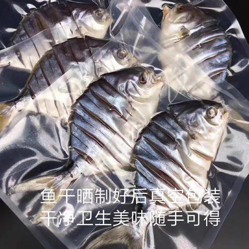 金鲳鱼不放盐可以直接晒干吗
