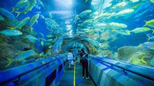 长沙海洋馆门票团购
