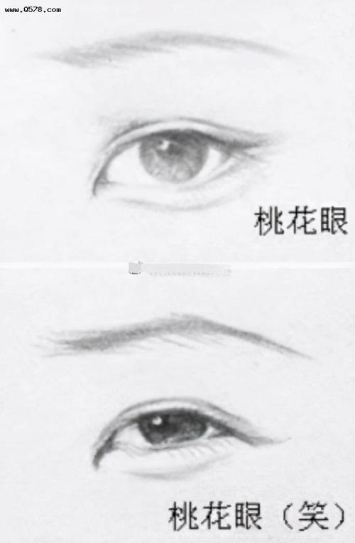 为什么叫丹凤眼