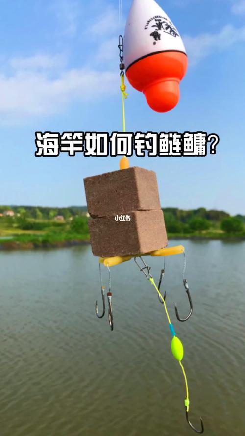 冬天抛竿钓底怎么配