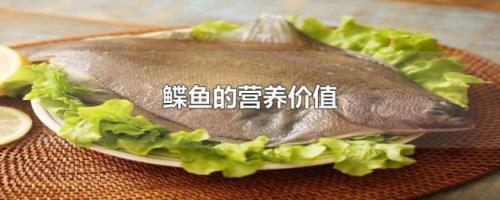 鲽鱼肉好吃吗