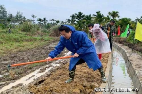 管护主体什么意思