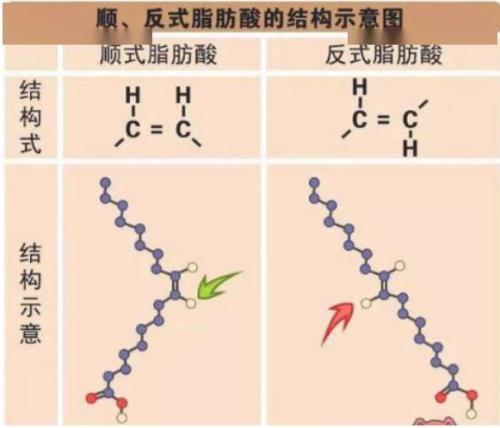 脂肪酸化学式