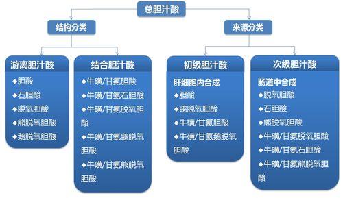 胆汁中与消化有关的成分是