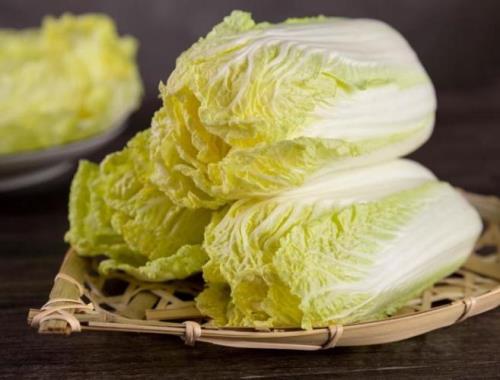 大白菜与娃娃菜的区别是什么
